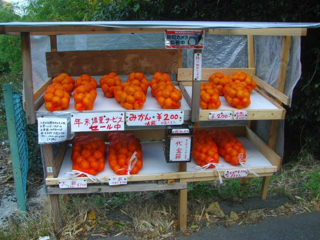 /-XkN0Yo6PUhI/Ur_7L0iAaTI/AAAAAAAAKLc/jYvWP3wRGRs/s1600/IMG_8425.webp